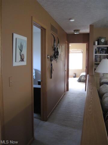 Hallway from main living area to the bedrooms and 