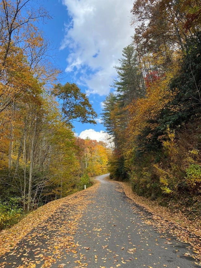 Lot 61 Hickory Nut Trail, Sylva, NC 28779 - photo 4