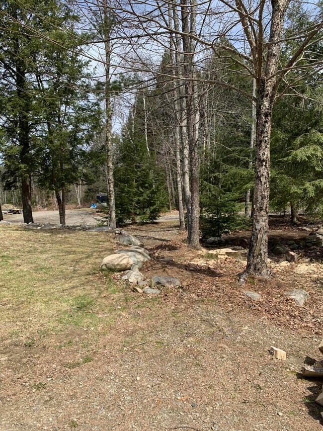 Front Lawn