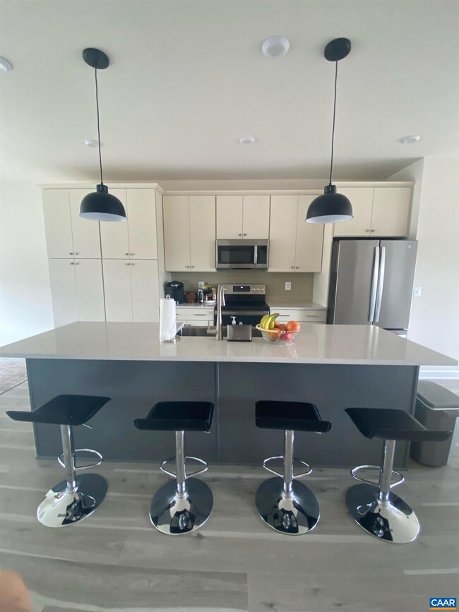 1840 Fowler St, Charlottesville, VA 22901 - photo 4