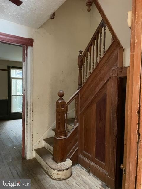 744 Reservoir St, Baltimore, MD 21217 - photo 7