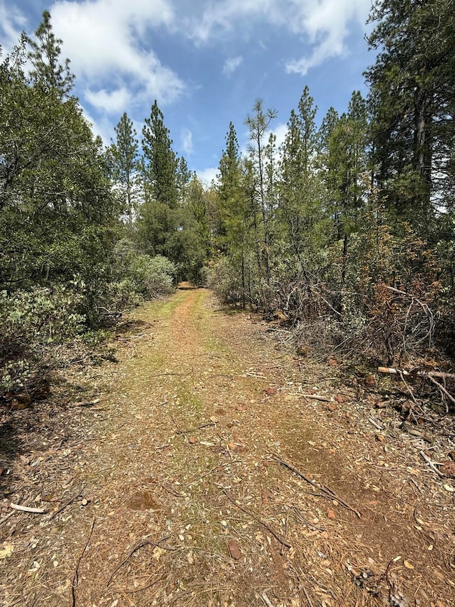 0 Ponderosa Way, Shingletown, CA 96088 - photo 7