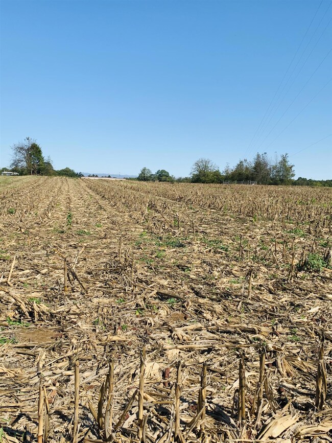 1160 Payne Rd, Portland, TN 37148 - photo 7