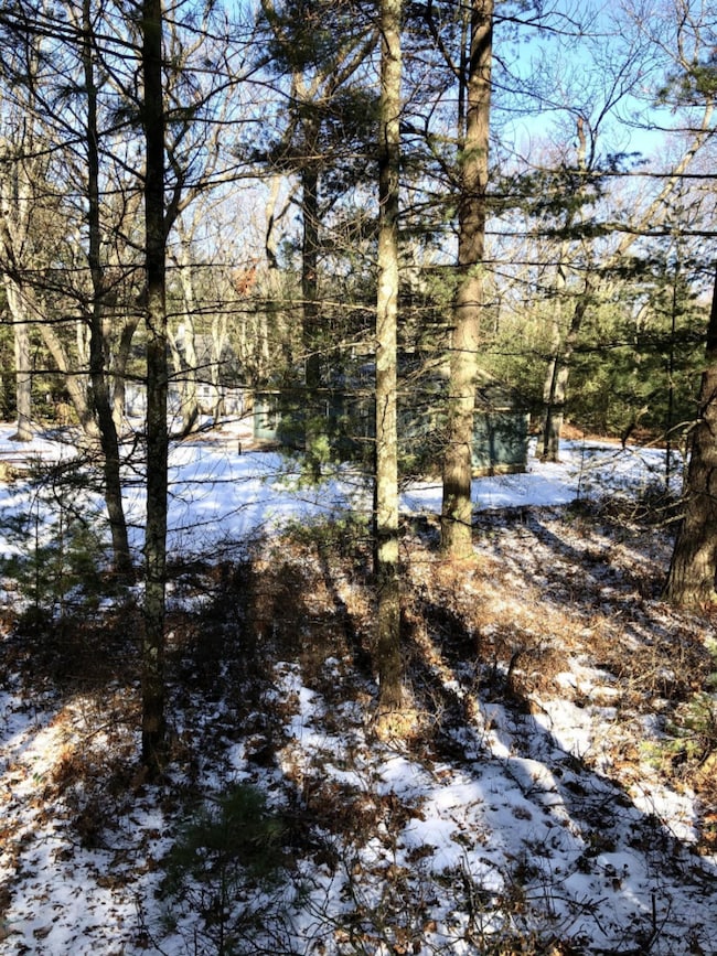 neighbor to the west