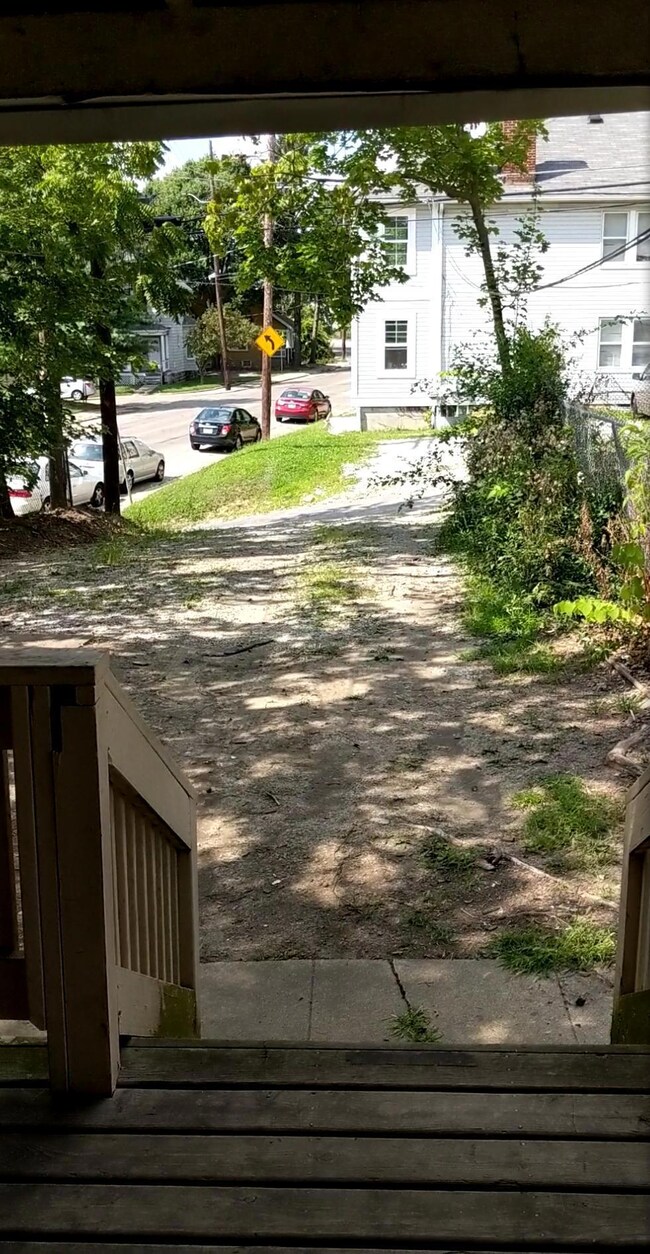 backyard and parking