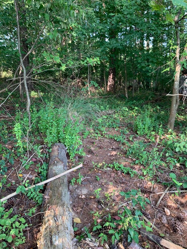 14832 Mercia Ln, Logan, OH 43138 - photo 2