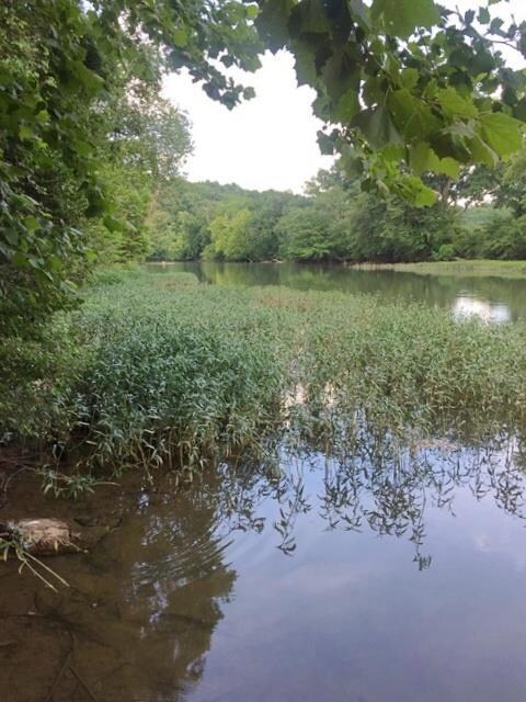 0 Dailey Loop unit RTC1839487, Linden, TN 37096 - photo 2