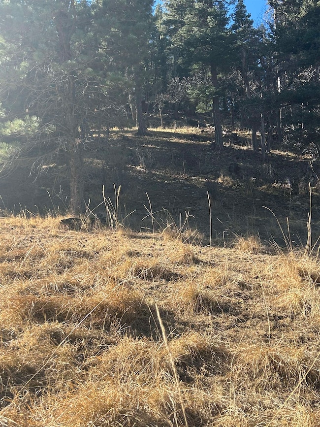 0 Trading Post Rd unit 66 170435, Cloudcroft, NM 88317 - photo 7