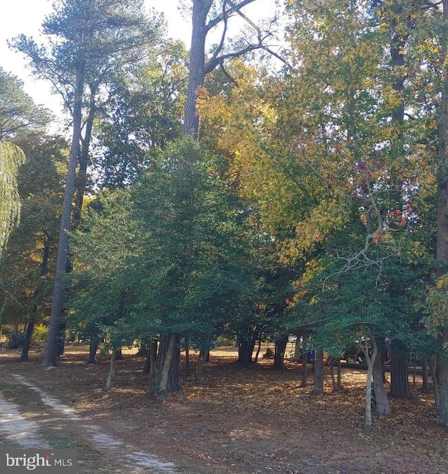 5 and 7 Woodland Ave, Ocean View, DE 19970 - photo 6