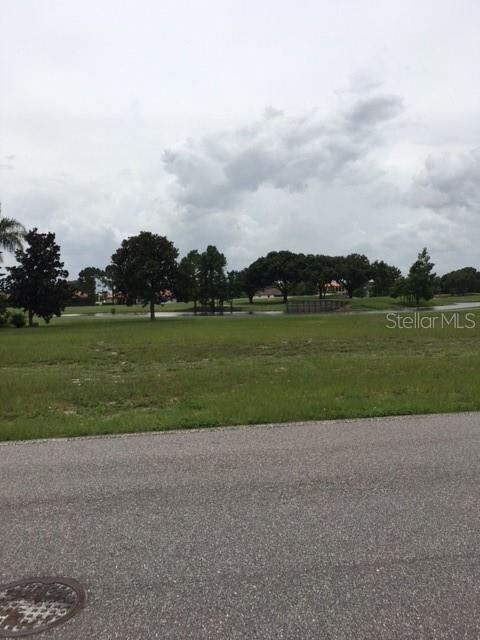 0 Sawgrass Run unit O5954261, Tavares, FL 32778 - photo 2