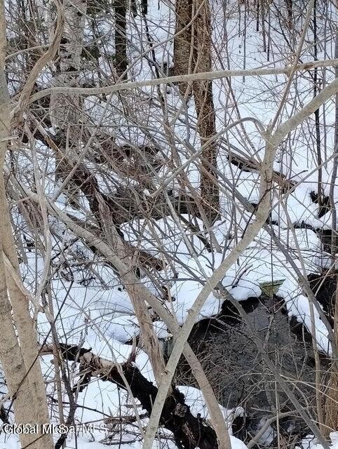 329 W Hague Rd, Hague, NY 12836 - photo 5