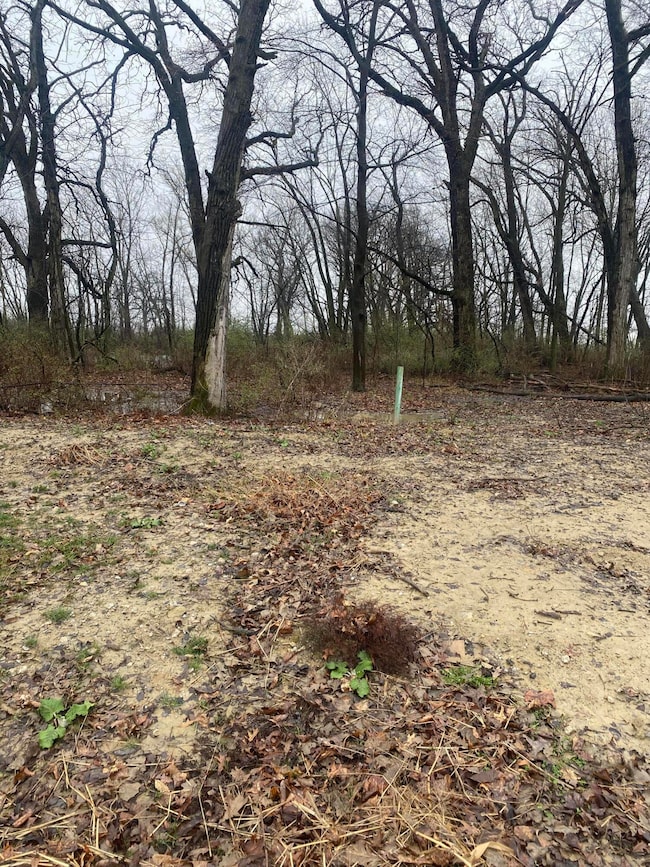 11271 Atherton St, Cedar Lake, IN 46303 - photo 3