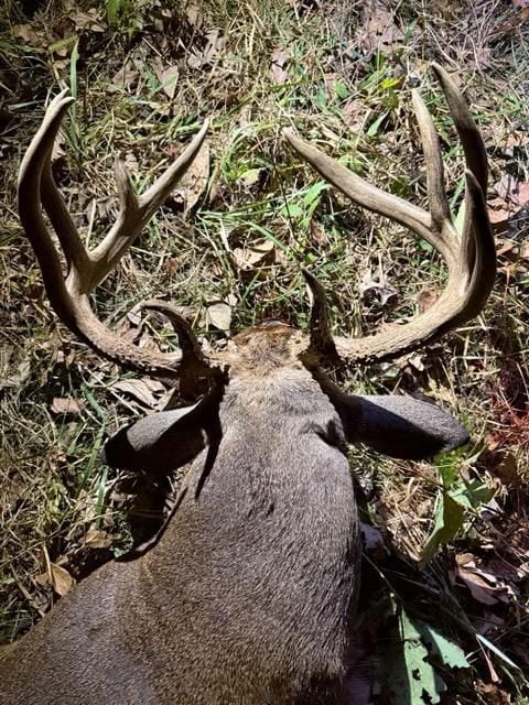 State Highway D (14 4+ - Acres), Eolia, MO 63344 - photo 6