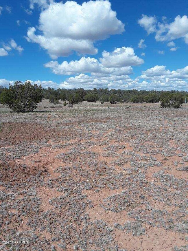 30207139d N Cattle Dr, Ash Fork, AZ 86320 - photo 3
