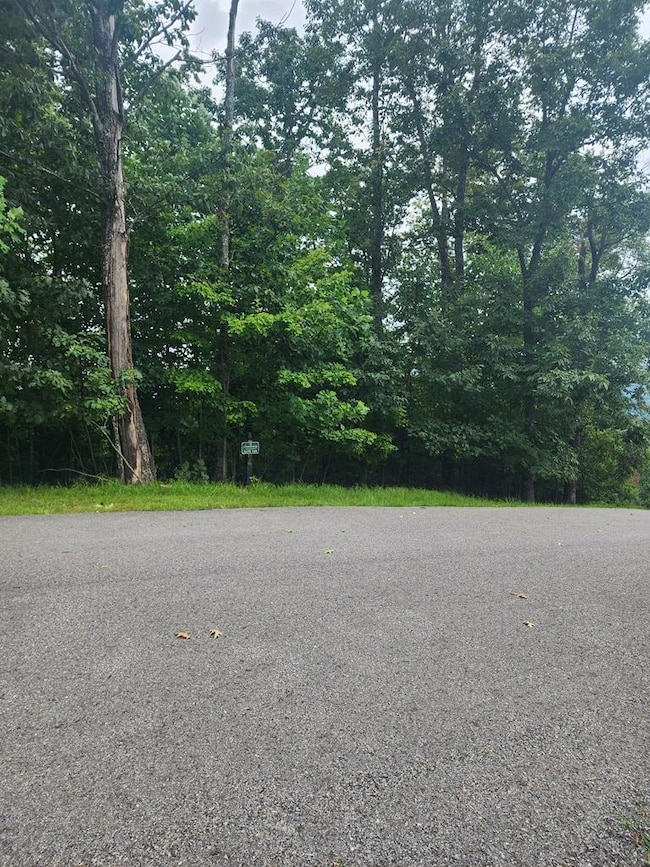 00 Vance Mountain Rd, Murphy, NC 28906 - photo 4