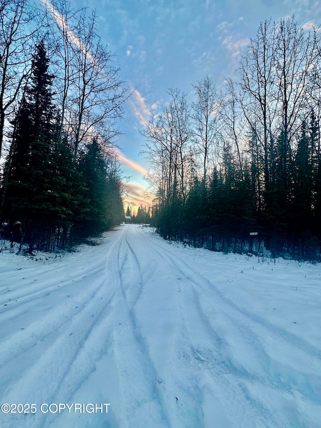 20820 Ray St, Kasilof, AK 99610 - photo 4