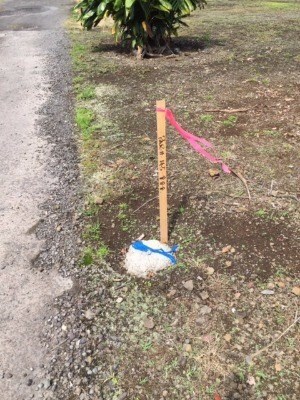 1746 Kilauea Ave, Hilo, HI 96720 - photo 2