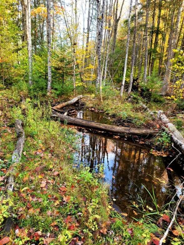 0 Cherwinski Rd, Vanderbilt, MI 49795 - photo 2