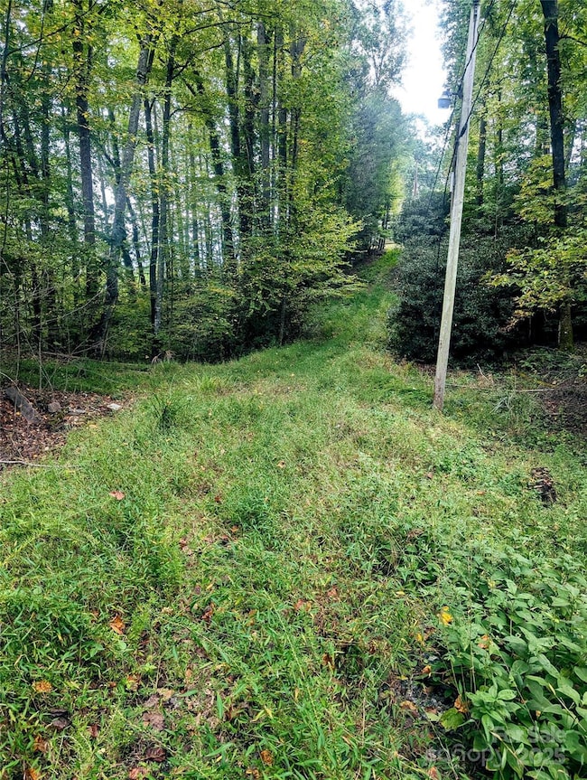 0 Luxury Lake None unit 5A/6A/7A, Etowah, NC 28739 - photo 4