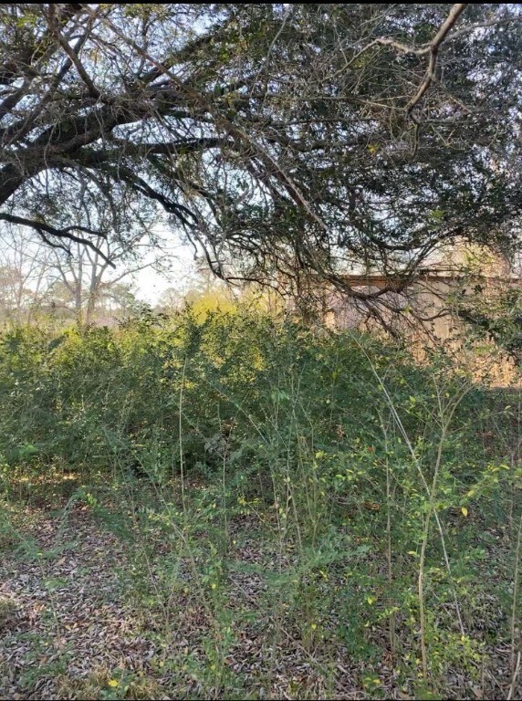 2148 County Road 540, Alvin, TX 77511 - photo 5