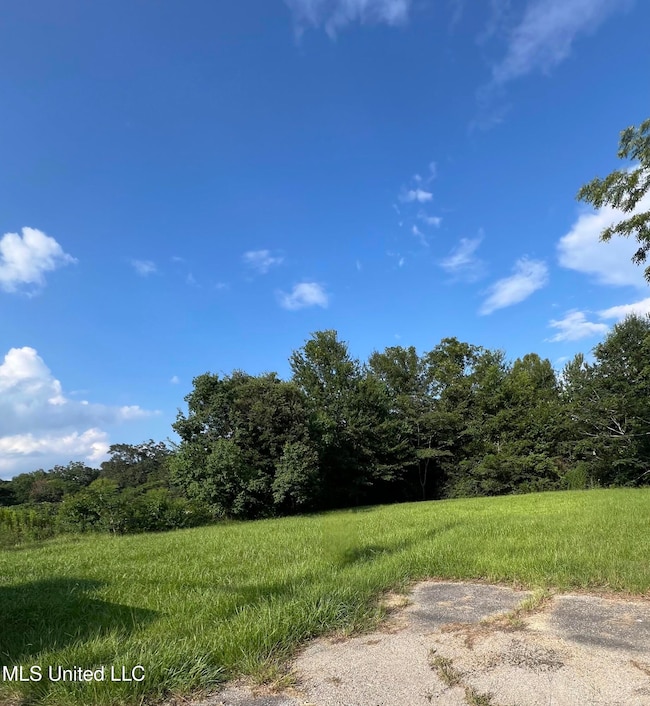 441 Park St, Wiggins, MS 39577 - photo 4