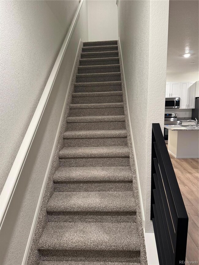 5796 Dakan Loop, Colorado Springs, CO 80938 - photo 3