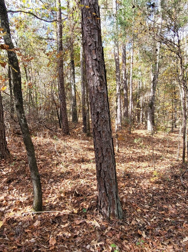 0 Bullocks Ferry Rd unit 21222623, Alpine, AL 35014 - photo 4