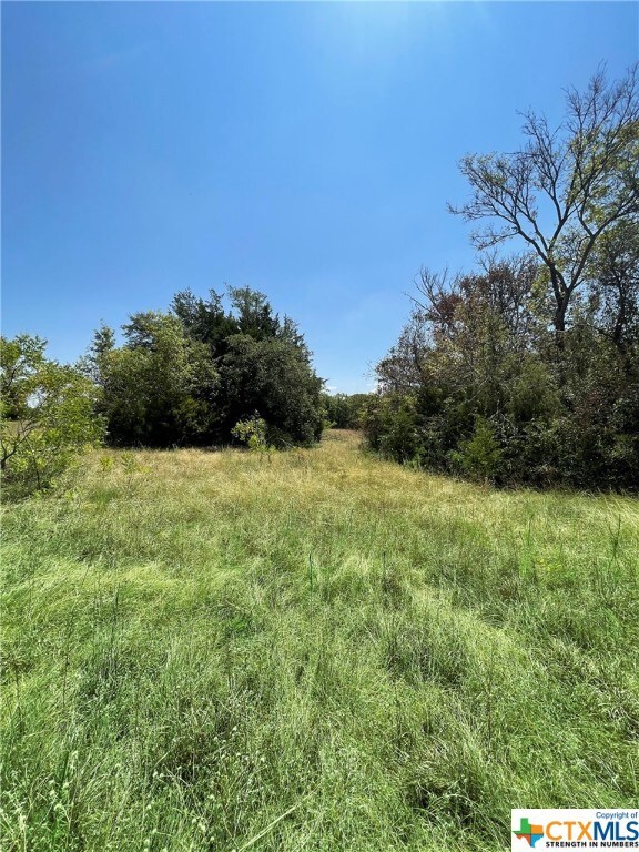 TBD Oak Mott Rd, Bruceville-Eddy, TX 76524 - photo 6