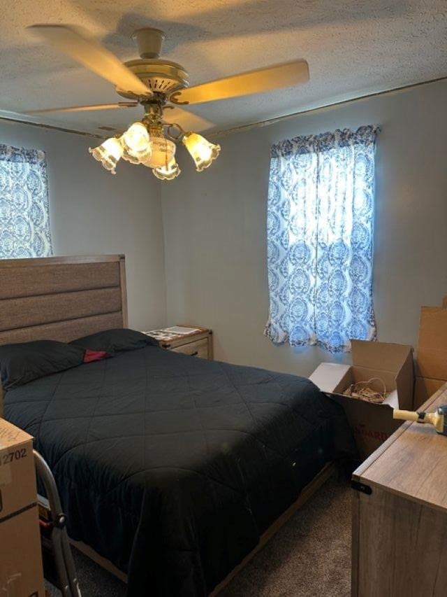 11 Paddy Hollow Rd, Lavalette, WV 25535 - photo 7