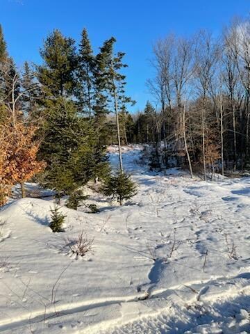 Lot 6-3 S Harmony Rd, Athens, ME 04912 - photo 2