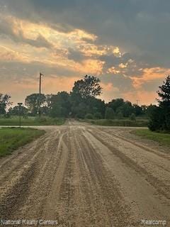 00 Stow Rd, Conway Township, MI 48892 - photo 6