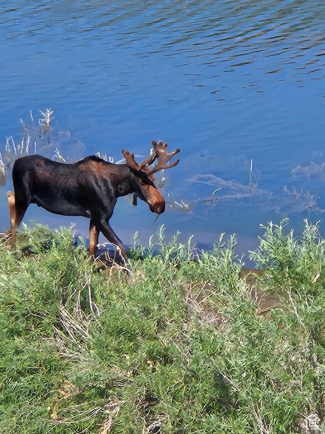 46071 W Thunder Ridge Rd N, Fruitland, UT 84027 - photo 6