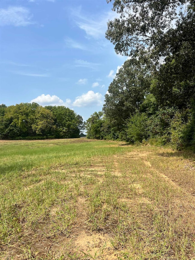View of yard with a view of rural / pastoral area