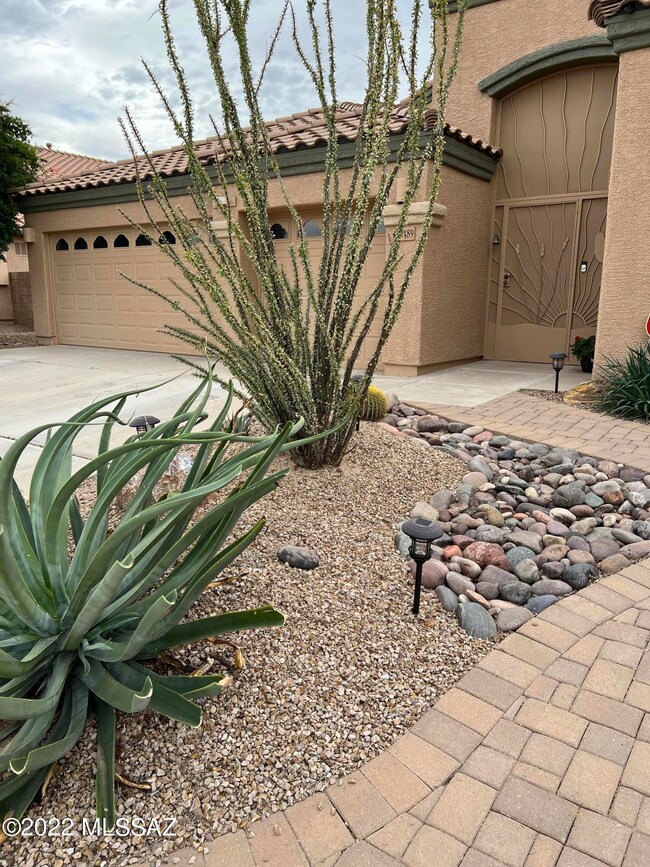 4 - Front Vegetation
