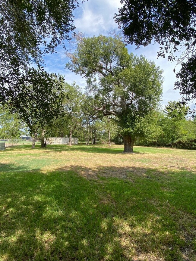 4213 Tampico St, Houston, TX 77016 - photo 3