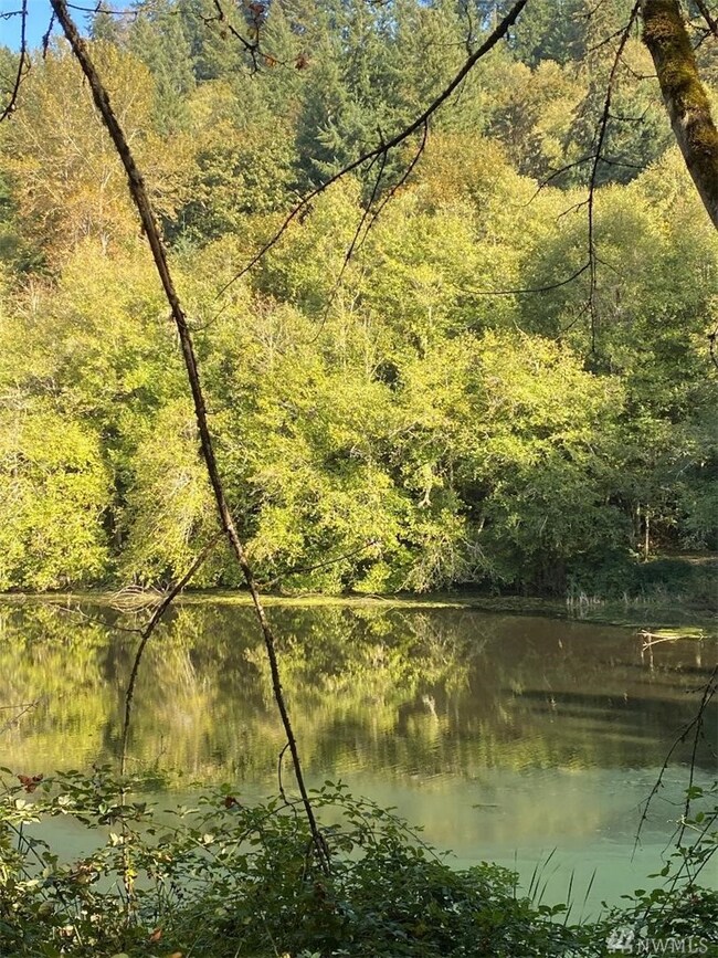 23310 148th Avenue Ct E, Orting, WA 98360 - photo 5