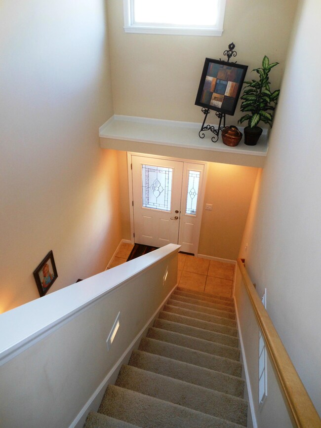 Foyer & Decorative Shelving