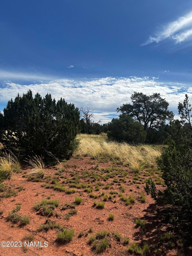 4446 Goldenrod Rd, Williams, AZ 86046 - photo 3