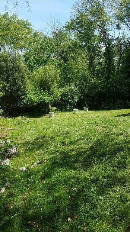 Private Backyard