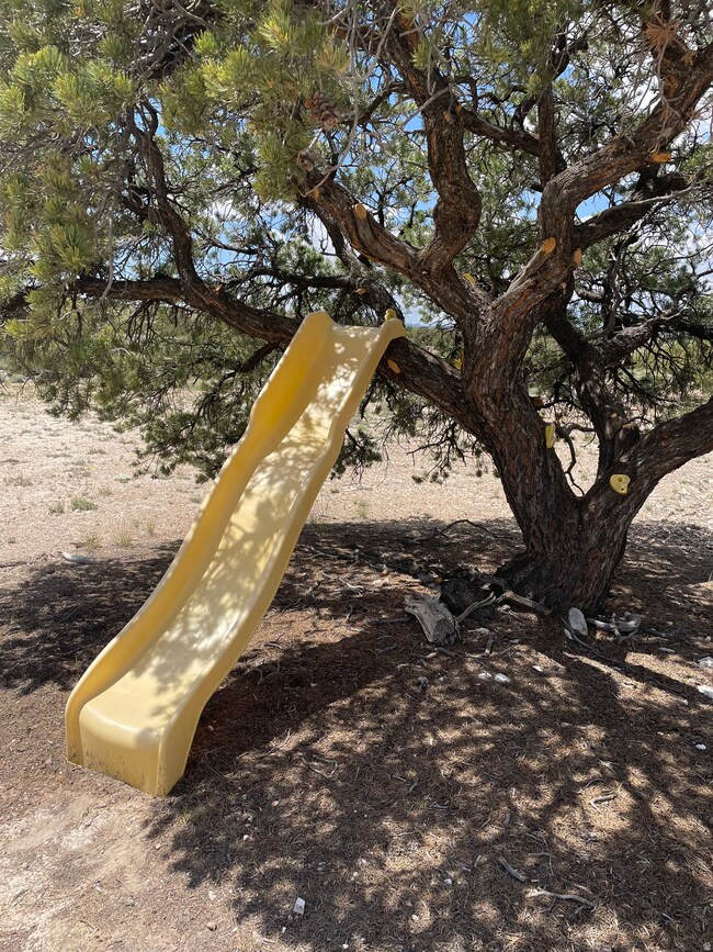 14180 High Mesa Loop unit 66, Duchesne, UT 84021 - photo 3