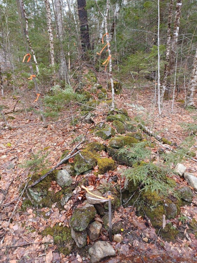 9 Old Country Rd, Warren, NH 03279 - photo 7