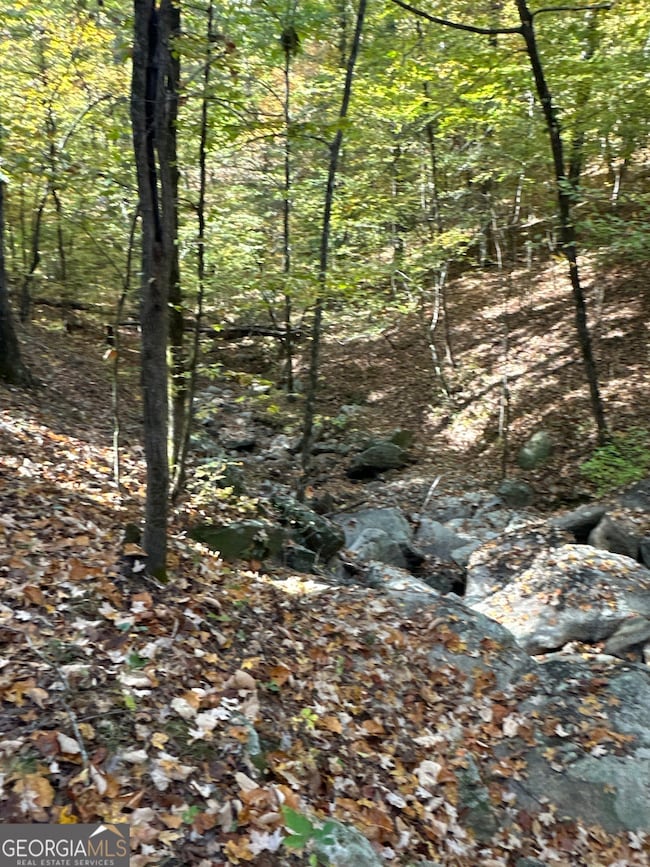 TRACT 2 Dennis Creek Rd, Talbotton, GA 31827 - photo 3