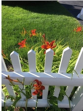 29 Gunwale Way, Yarmouth, MA 02675 - photo 4