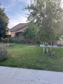 Front of the house.