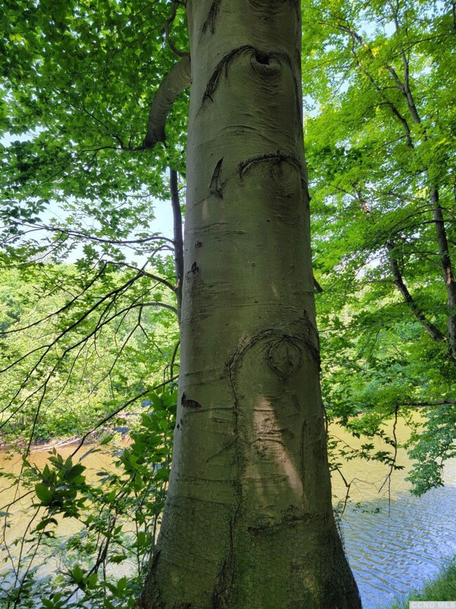 0 Off Indian Ridge Ext Rd, Athens, NY 12015 - photo 7