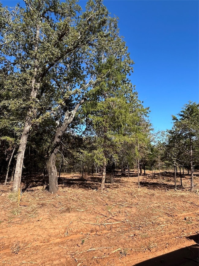 TBD Annahill, Whitesboro, TX 76273 - photo 2