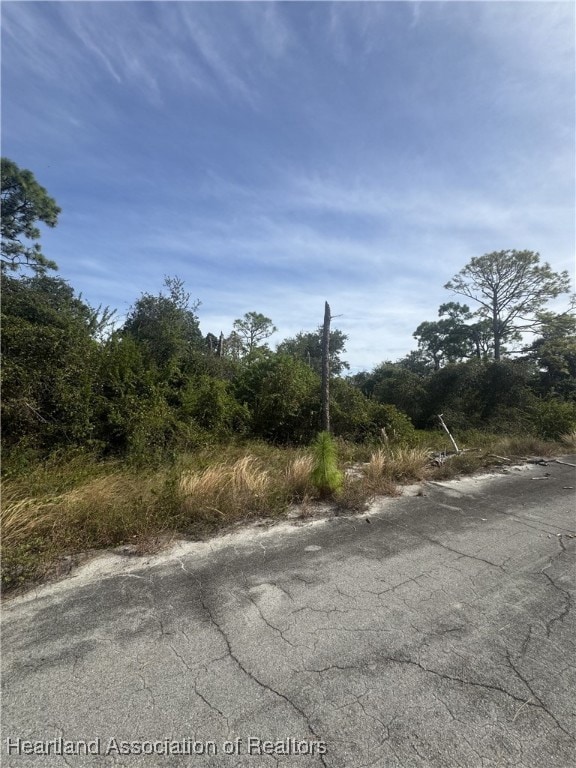 208 Gasparilla Way NE, Lake Placid, FL 33852 - photo 4