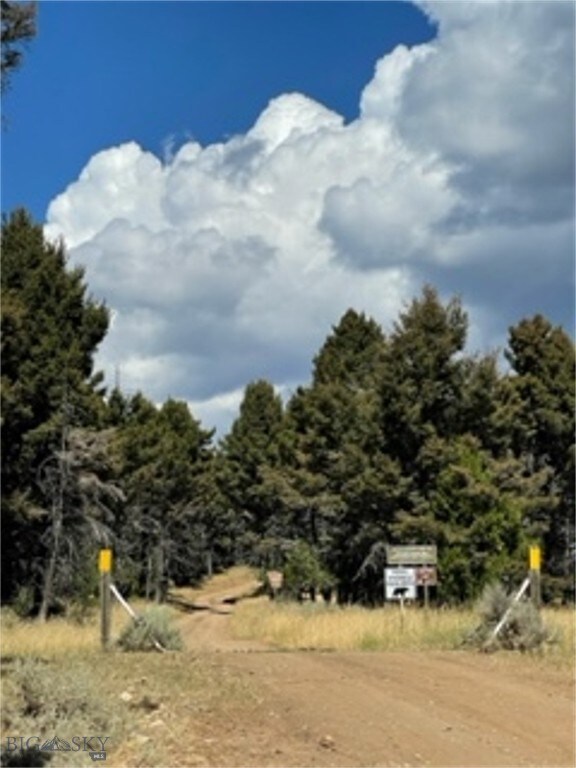 Adjacent Forest Service access and roadway