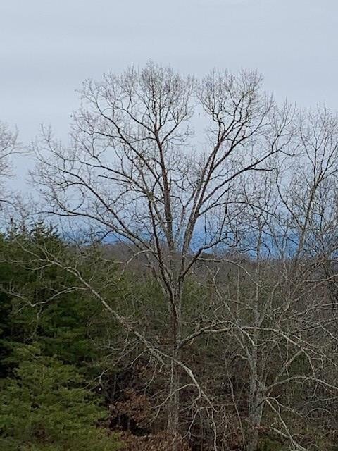 More mountain views