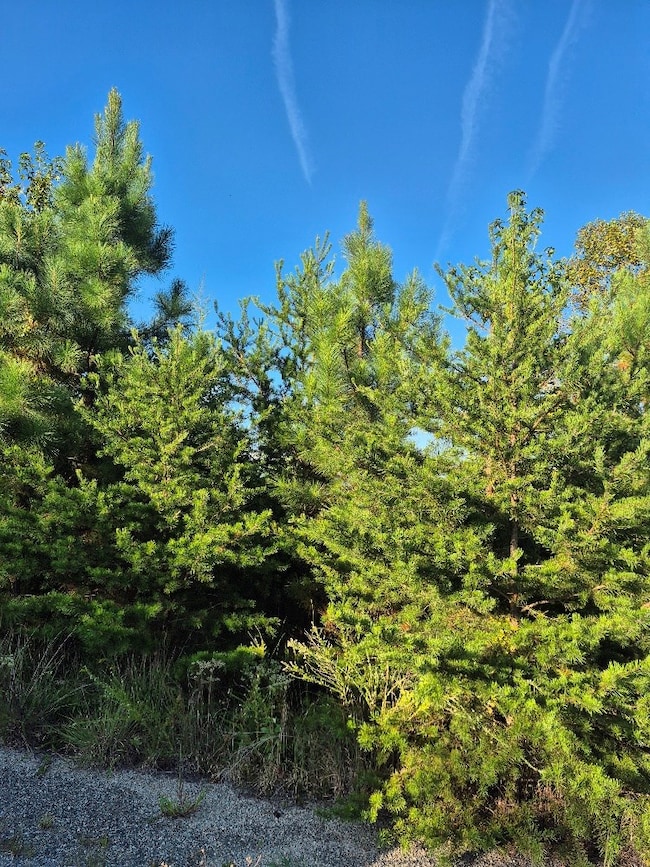 0 Fort Dr unit 16 57759, Pamplin, VA 23958 - photo 2